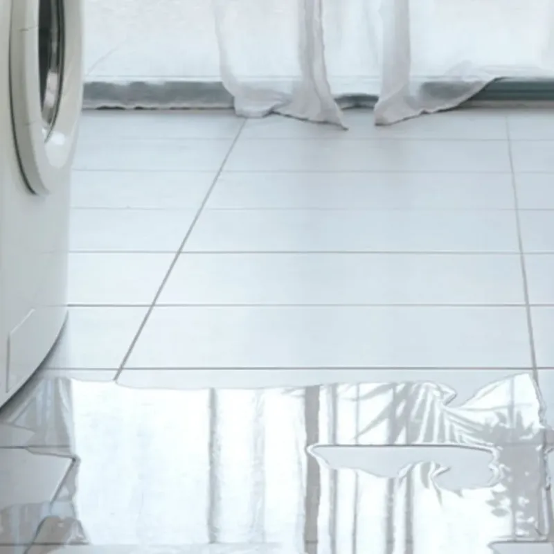 Appliance Leak Cleanup in Chuluota, FL